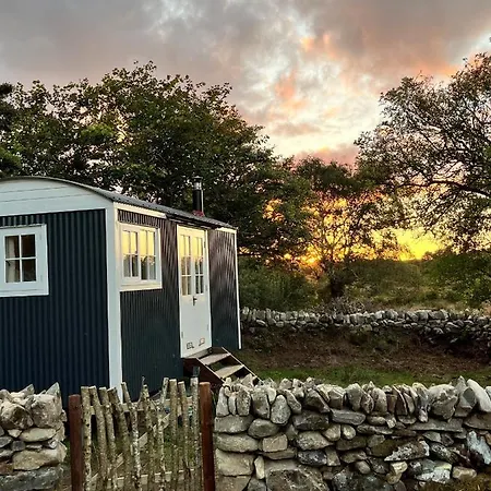 The Hazel Hut Orman Evi