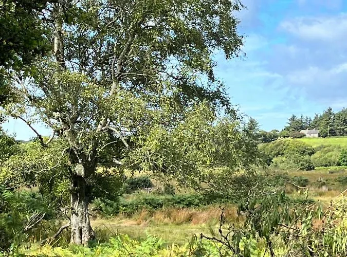 Orman Evi The Hazel Hut Westport