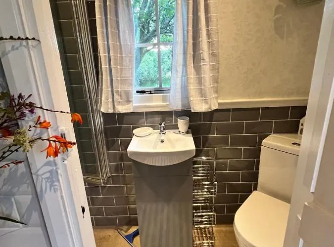 Orman Evi The Hazel Hut Westport