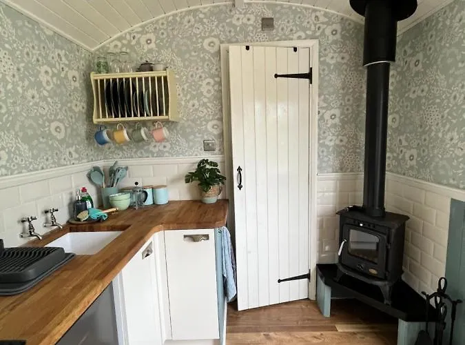 The Hazel Hut Orman Evi