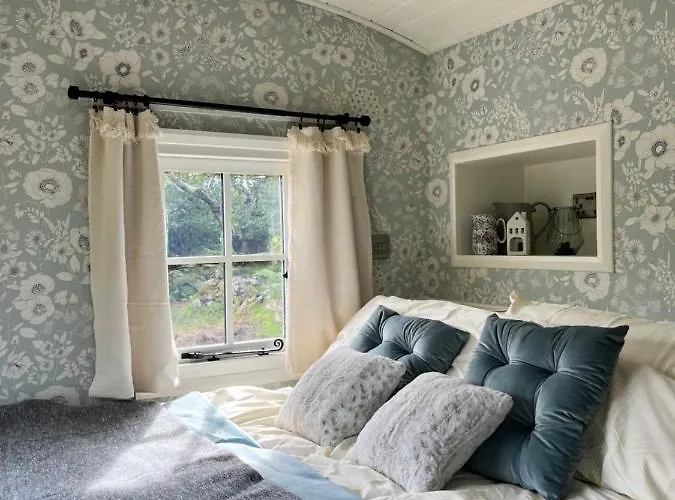 The Hazel Hut Orman Evi Westport