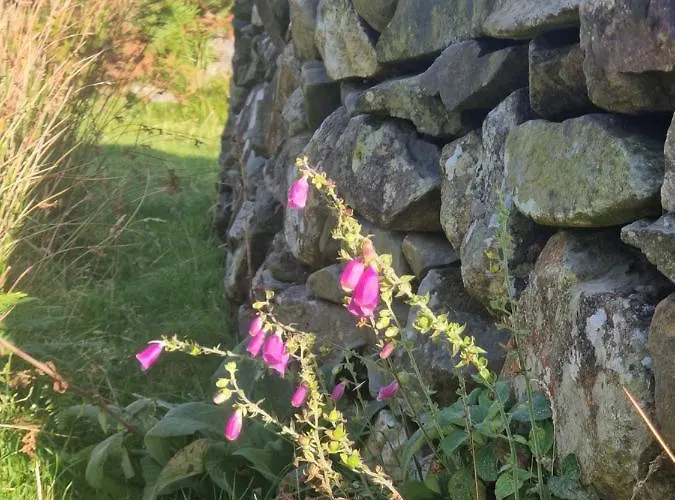 The Hazel Hut Lodge