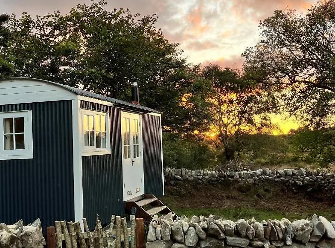 The Hazel Hut Orman Evi