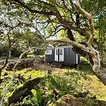 The Hazel Hut