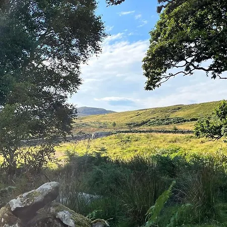 The Hazel Hut Westport