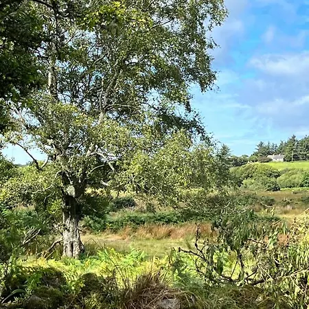 Lodge The Hazel Hut Westport