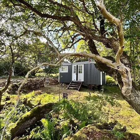The Hazel Hut