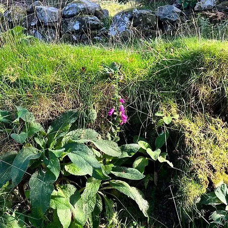 The Hazel Hut * Westport