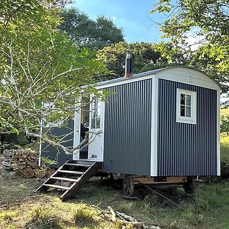 The Hazel Hut
