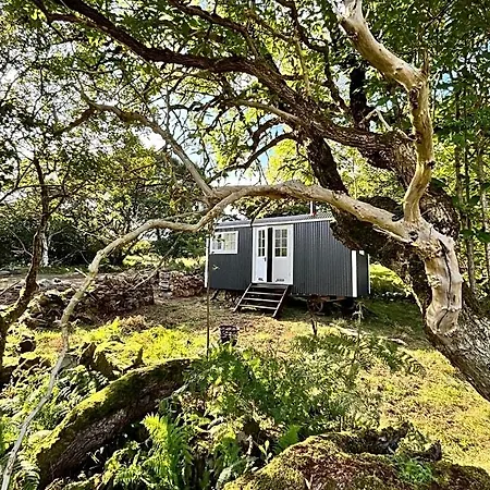 The Hazel Hut * Westport