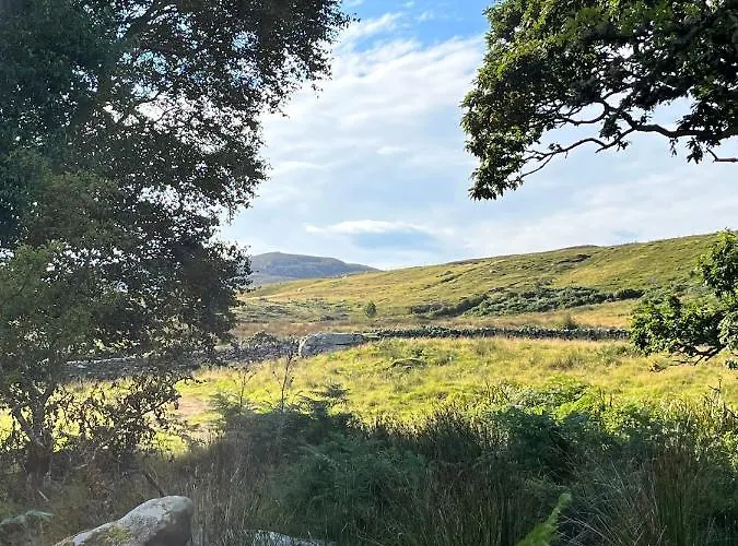 The Hazel Hut Westport