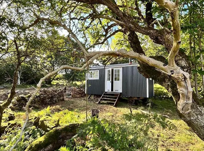 The Hazel Hut