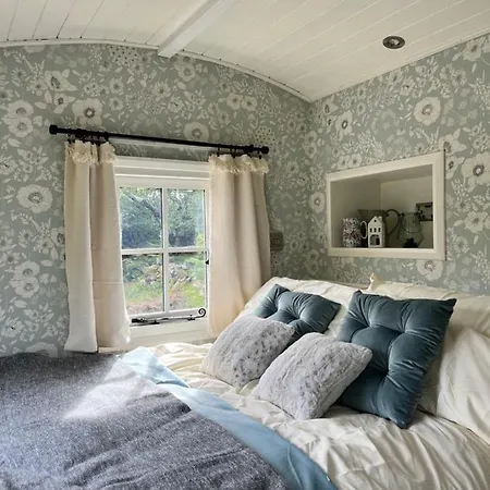 The Hazel Hut Hytte Westport