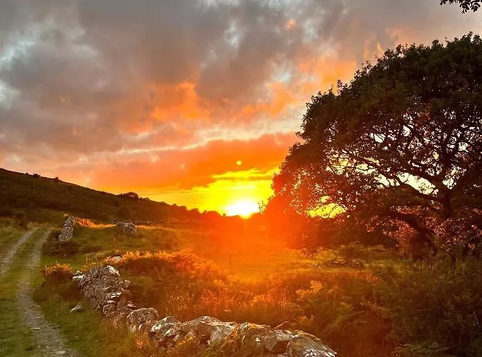 The Hazel Hut ウェストポート